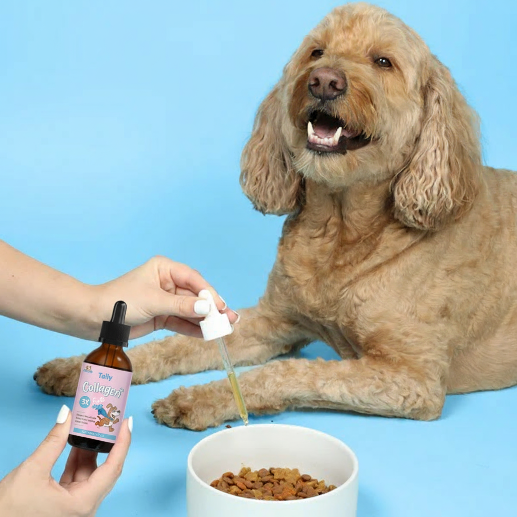 Premium Dog collagen