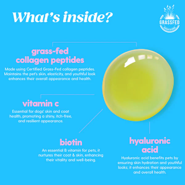 Premium Dog collagen