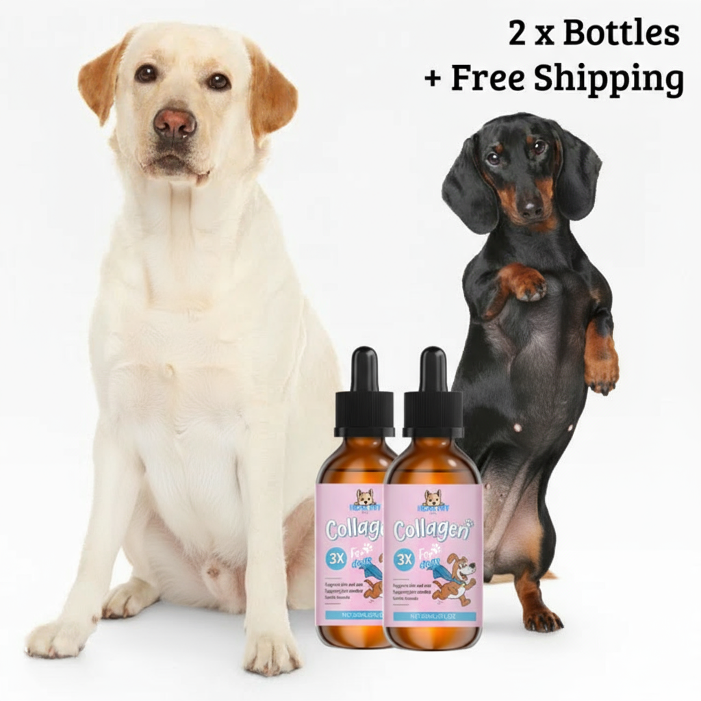 Premium Dog collagen