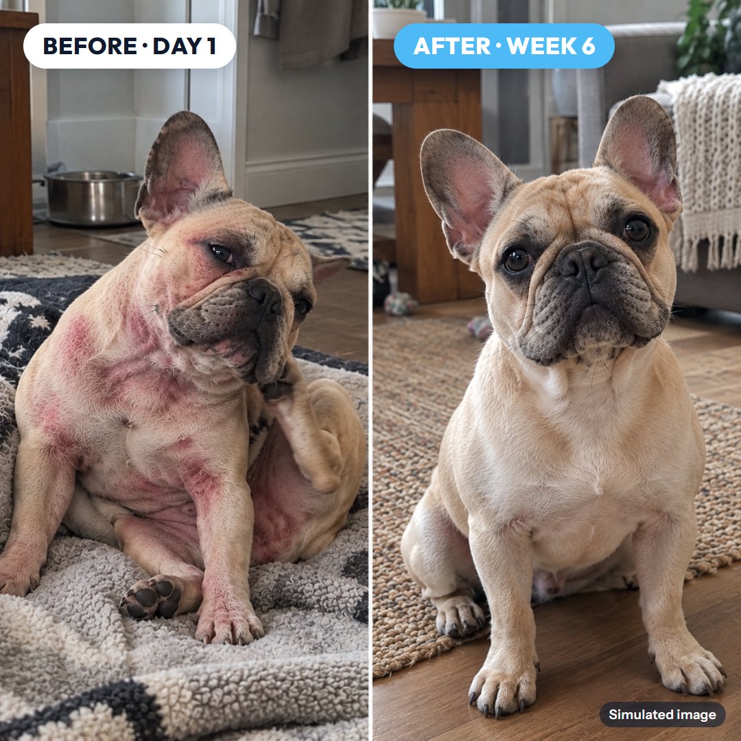 Itching: before and after (simulated image)