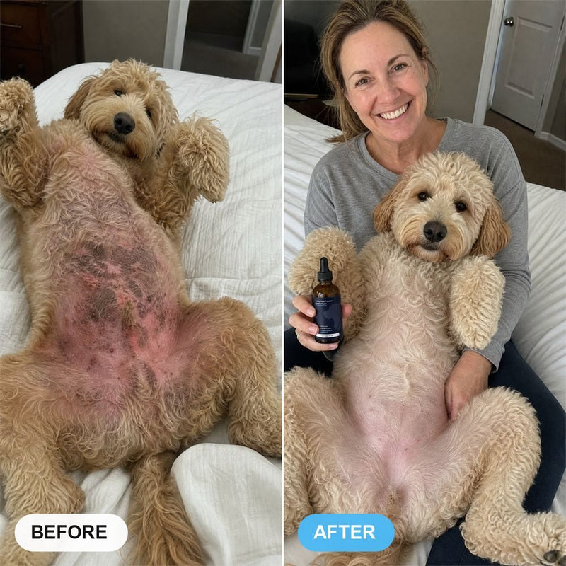 Before and after, the same dog's belly (1)