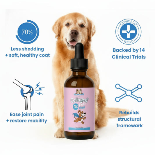 Premium Dog Collagen