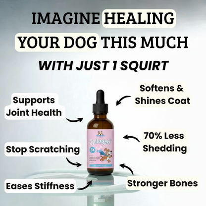 Premium Dog collagen
