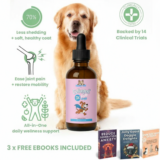 Premium Dog collagen