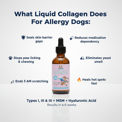 Healthy Petz® Premium Liquid Collagen