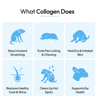 Healthy Petz Premium Liquid Dog Collagen