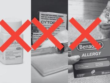 Untitled_design_1.jpg__PID:be90f796-cf98-4c0b-8da3-1c7d16f5854a