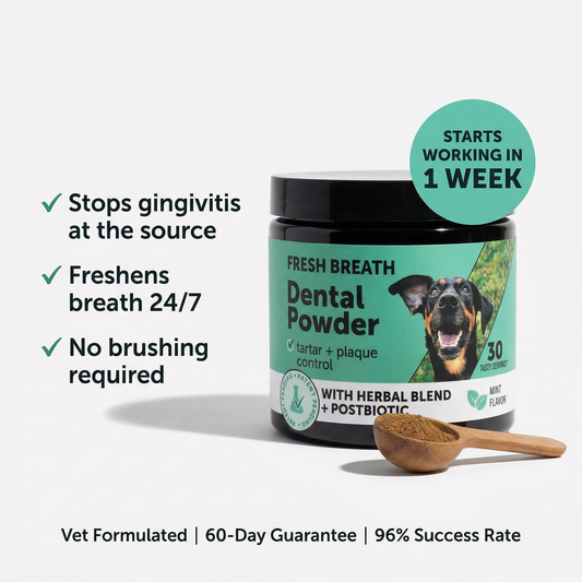 Premium Probiotic Dental Powder