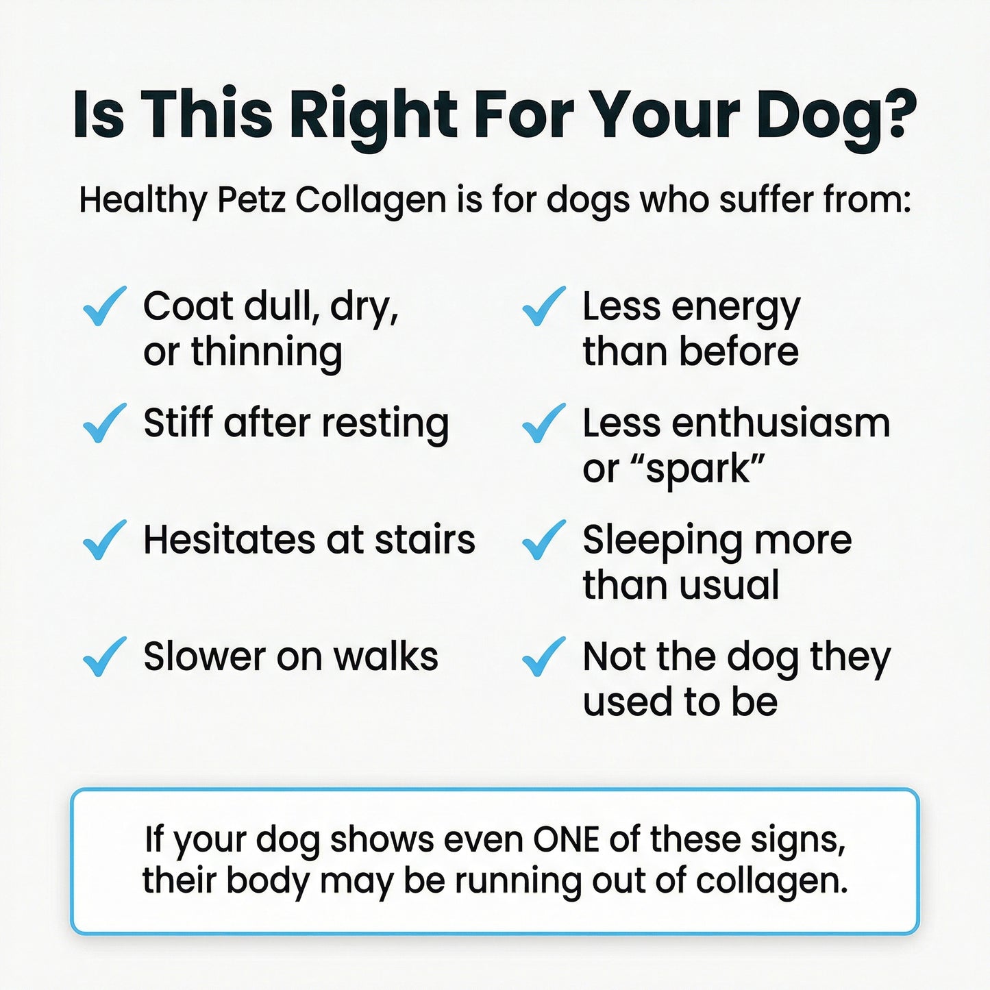 Healthy Petz® Premium Liquid Collagen