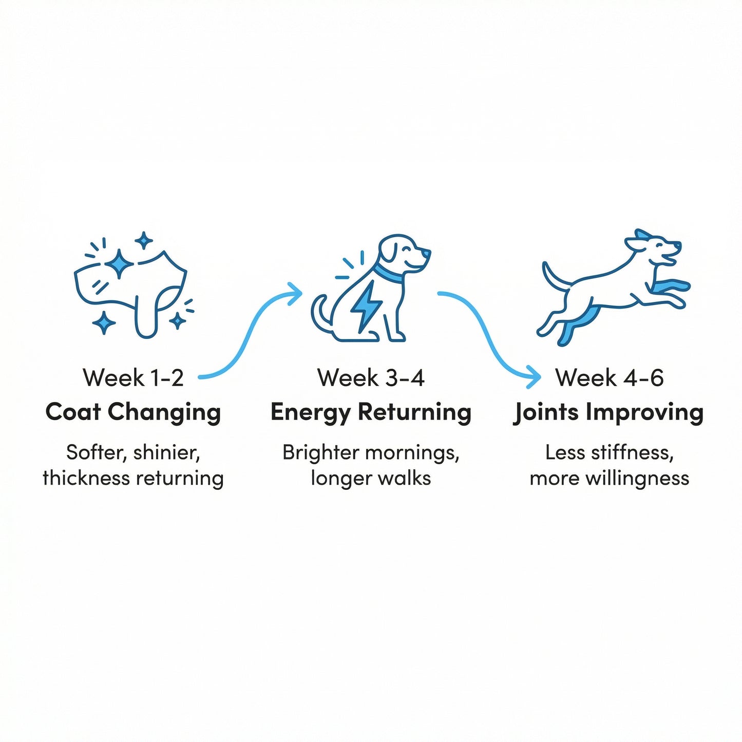 Healthy Petz® Premium Liquid Collagen