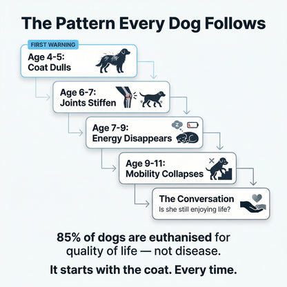 Healthy Petz® Premium Liquid Collagen