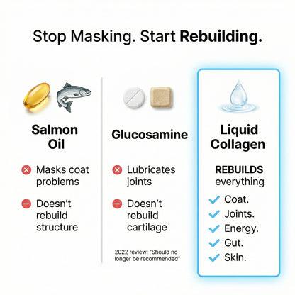 Healthy Petz® Premium Liquid Collagen