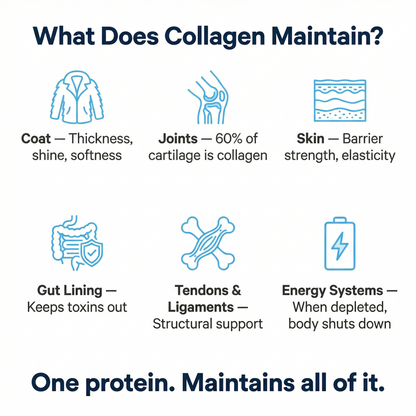 Healthy Petz® Premium Liquid Collagen