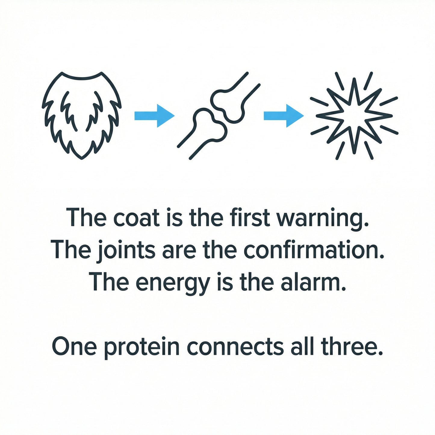 Healthy Petz® Premium Liquid Collagen