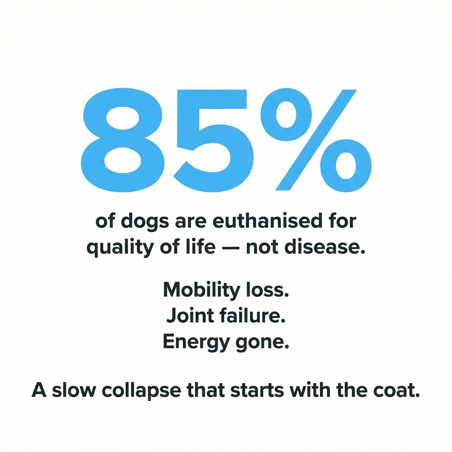 Healthy Petz® Premium Liquid Collagen