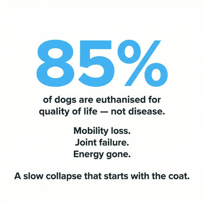 Healthy Petz® Premium Liquid Collagen