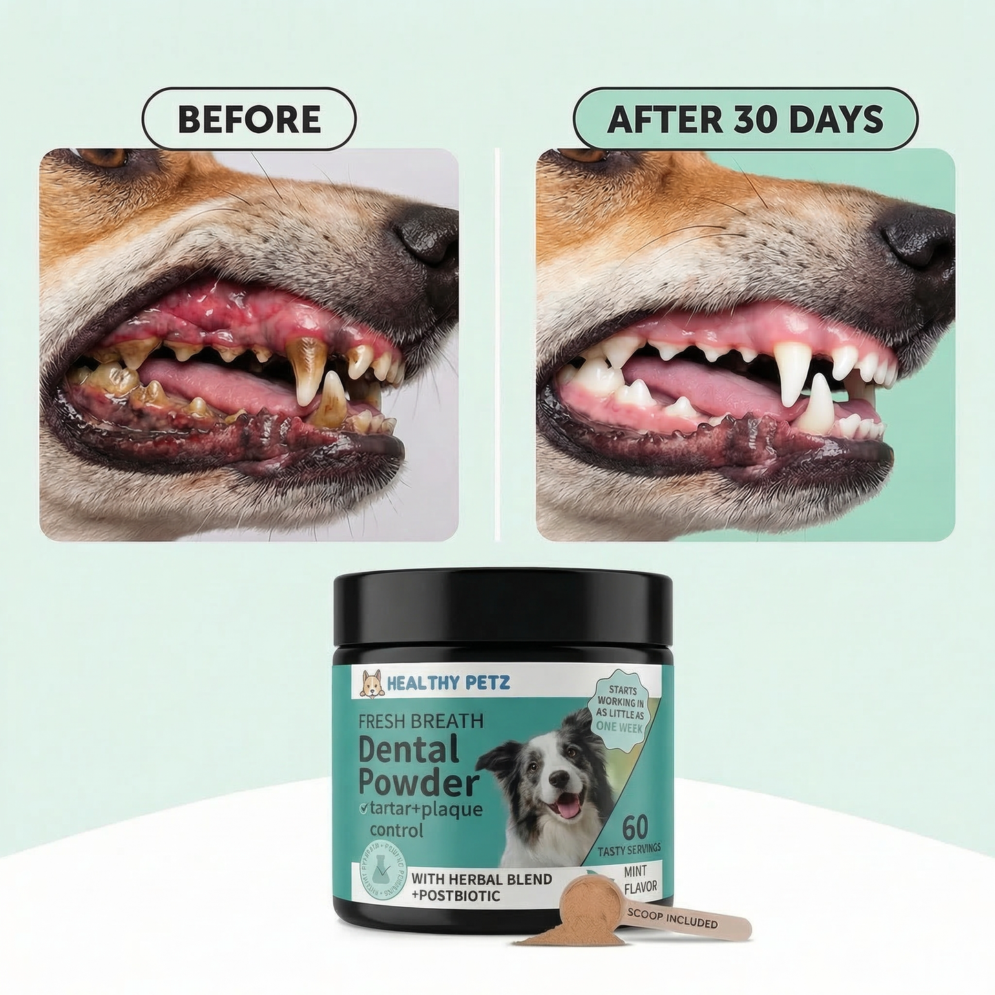 Premium Probiotic Dental Powder
