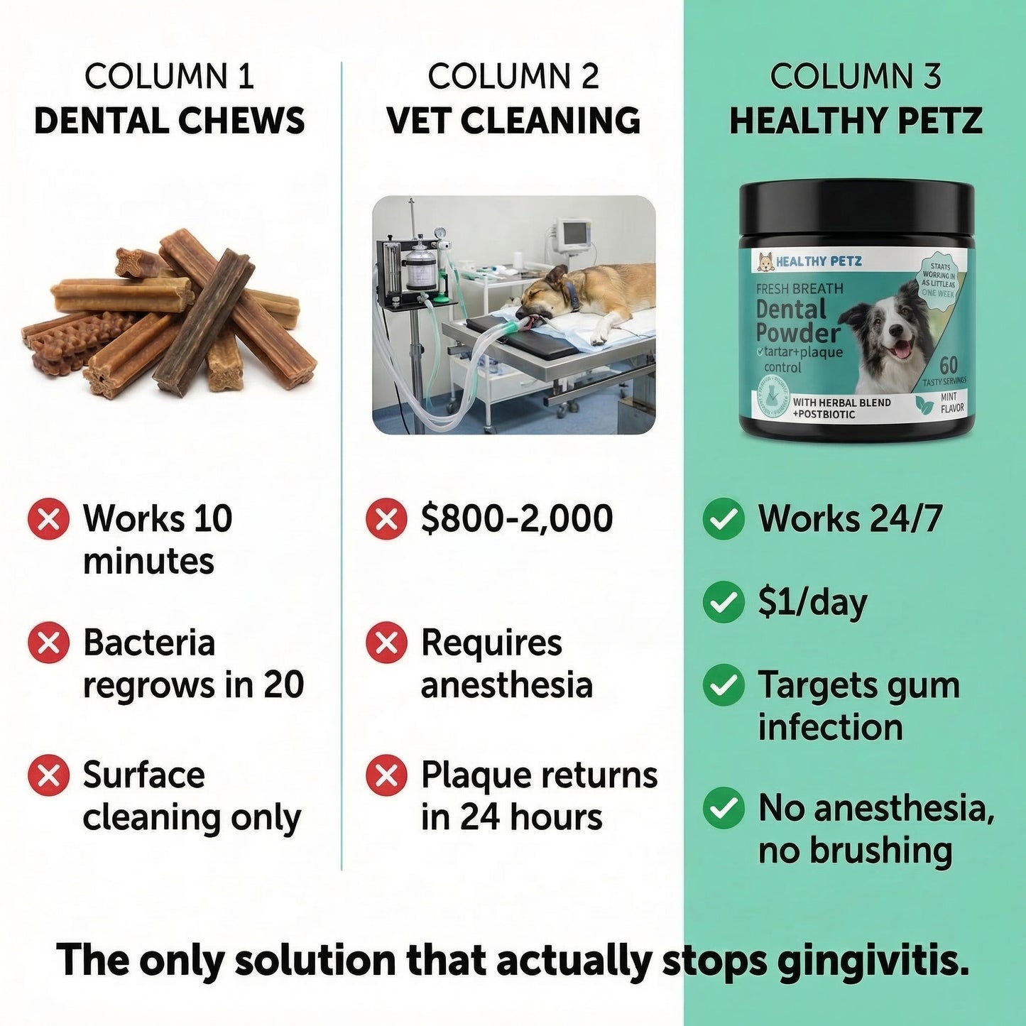 Premium Probiotic Dental Powder