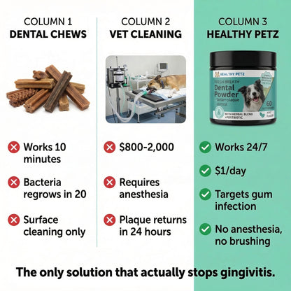 Premium Probiotic Dental Powder