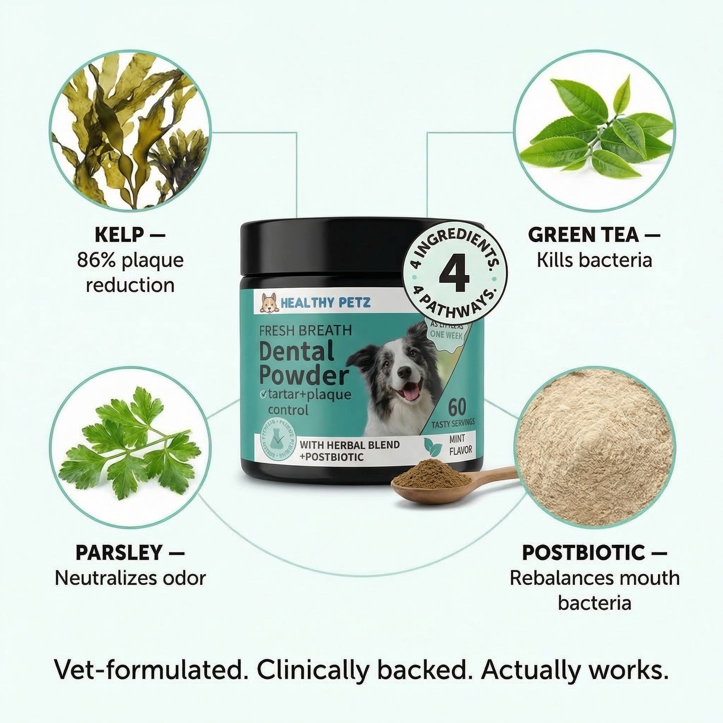 Premium Probiotic Dental Powder