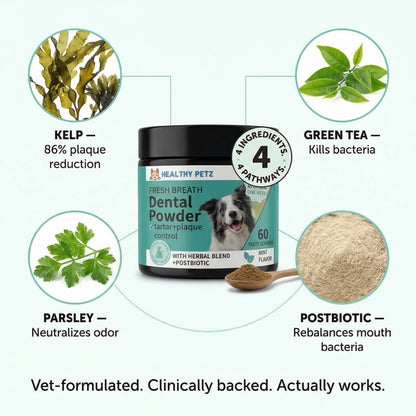 Premium Probiotic Dental Powder