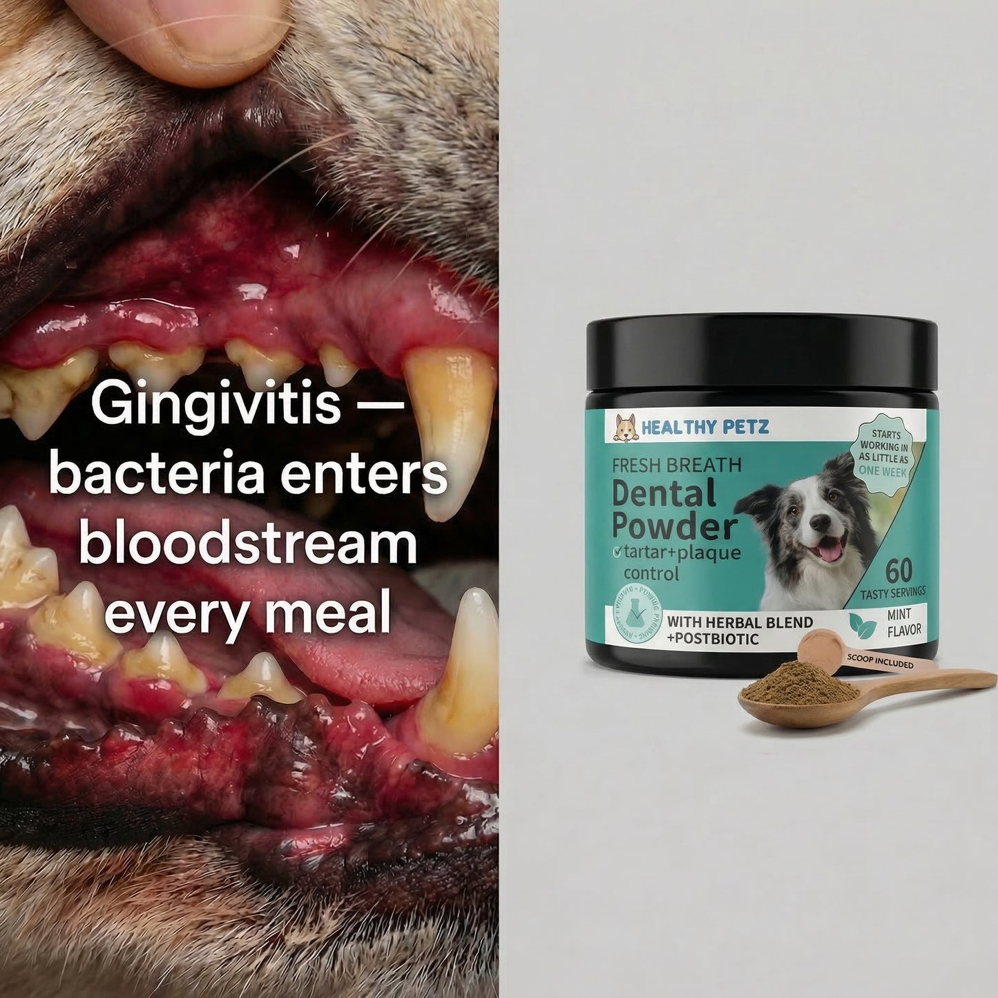 Premium Probiotic Dental Powder