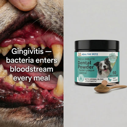 Premium Probiotic Dental Powder
