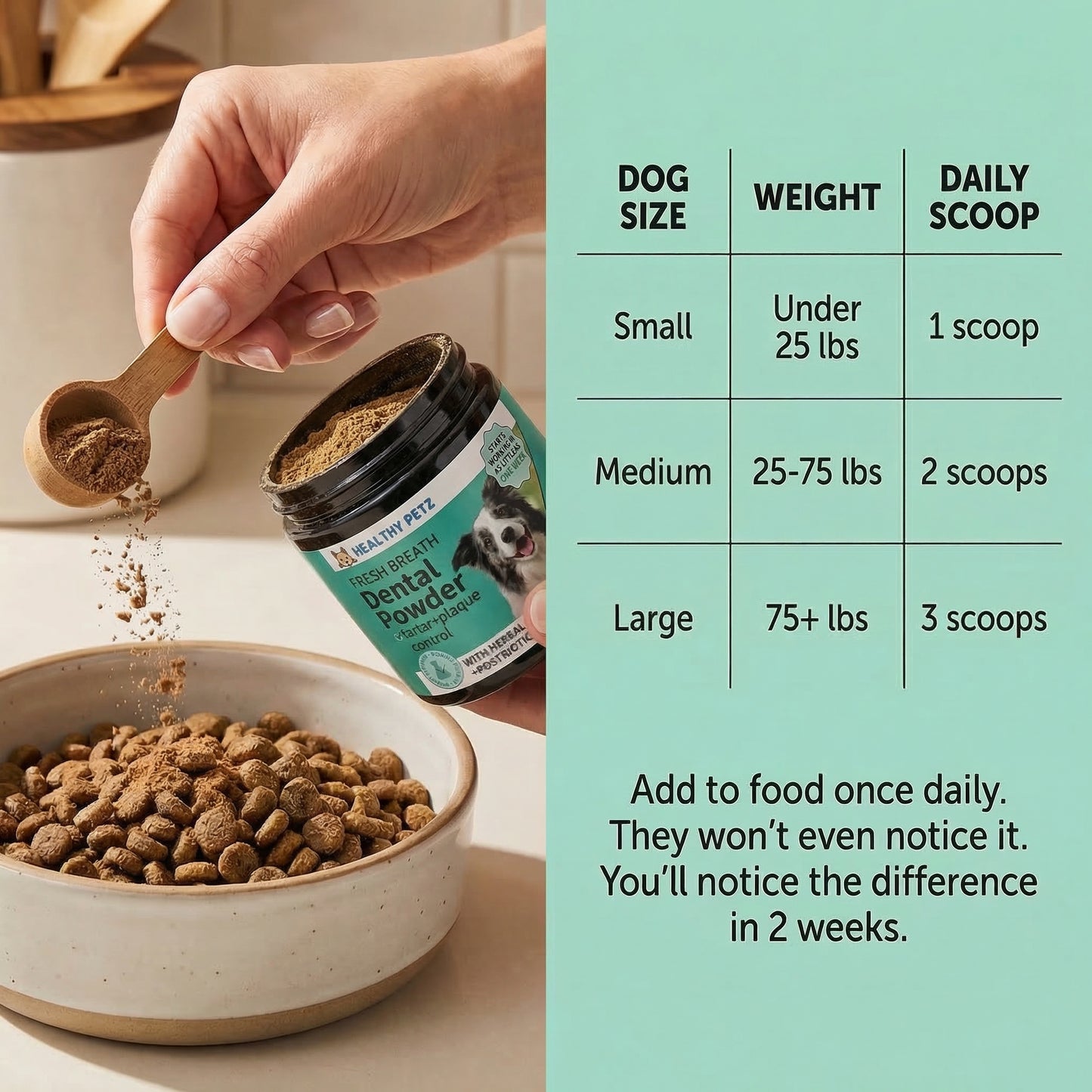 Premium Probiotic Dental Powder