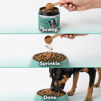 Premium Probiotic Dental Powder