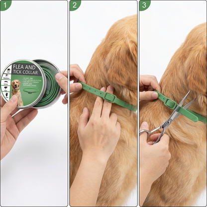 Natural Flea & Tick Collar
