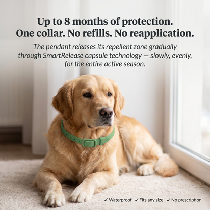 Natural Flea & Tick Collar