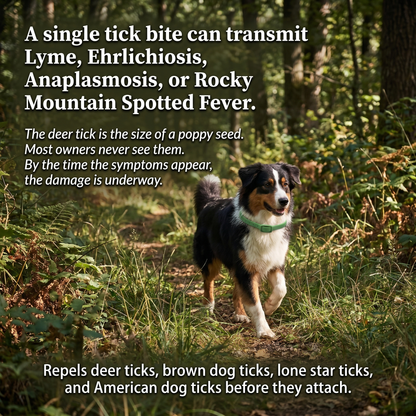Natural Flea & Tick Collar