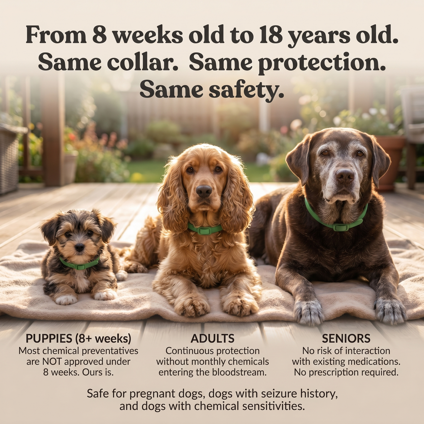 Natural Flea & Tick Collar