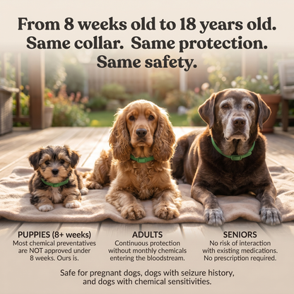Natural Flea & Tick Collar