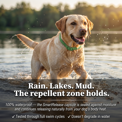 Natural Flea & Tick Collar
