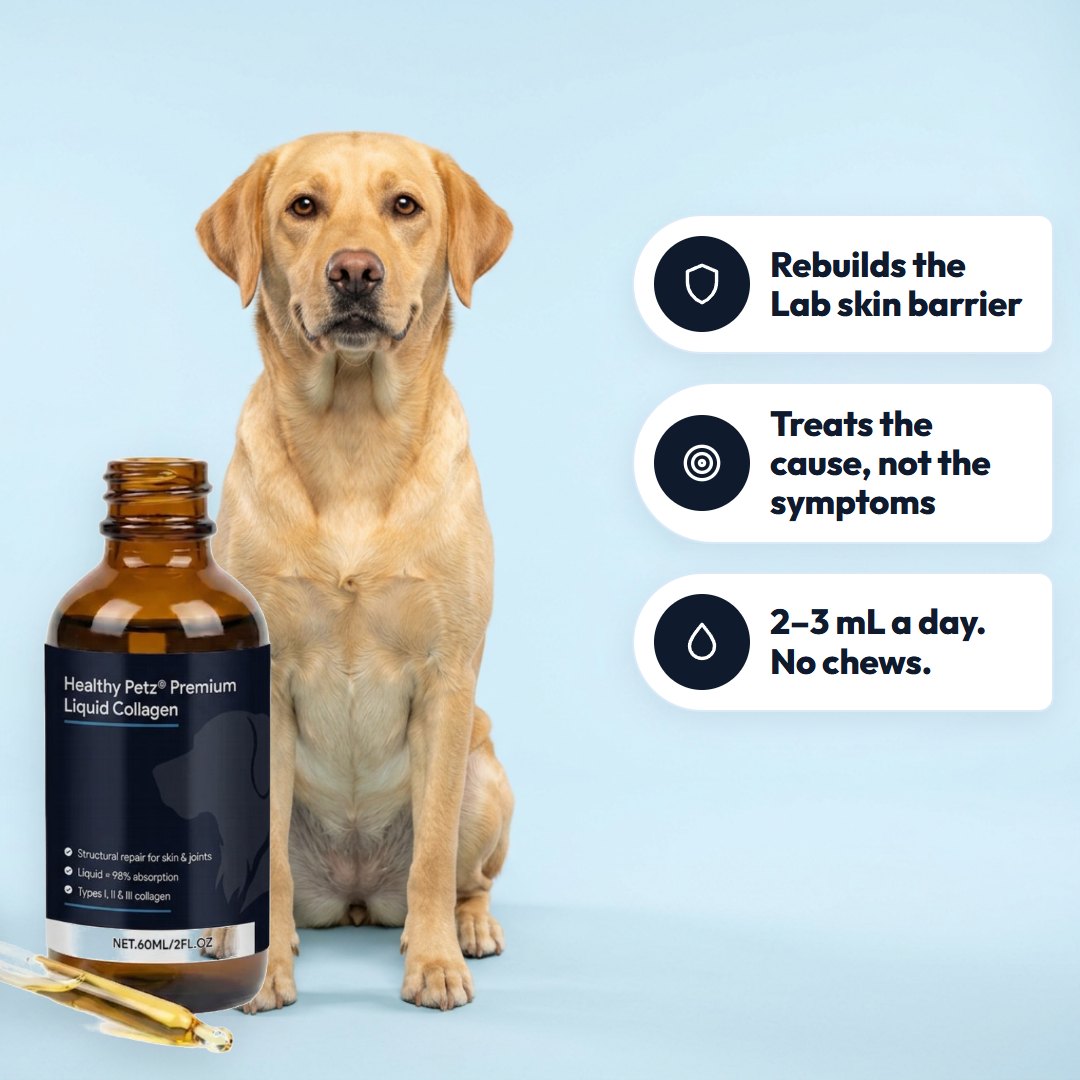 Healthy Petz Premium Liquid Collagen