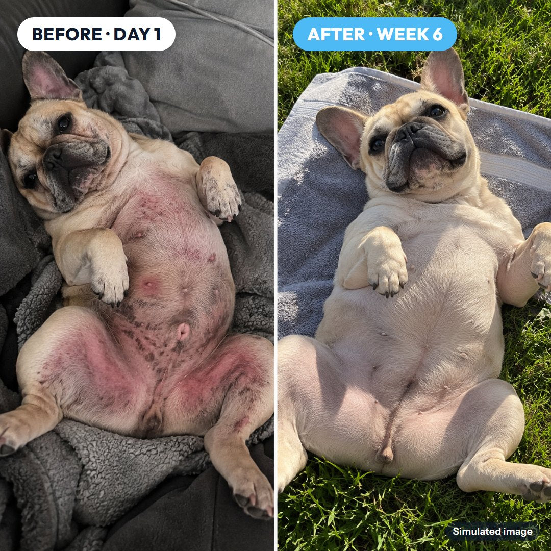 Belly: before and after (simulated image)