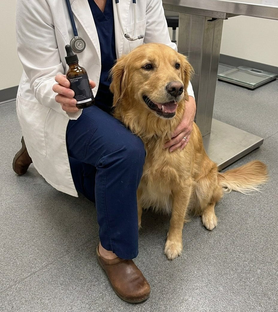 Dr. Claire Hollis with a golden retriever and a bottle of Healthy Petz Premium Liquid Collagen, in her practice